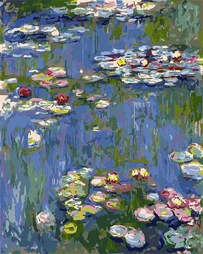 Meecaa Malen nach Zahlen, Wasserlilie, Teich, Lotus, Impressions-Set für Erwachsene, Anfänger, DIY-Ölgemälde, 40,6 x 50,8 cm (Seerose, ohne Rahmen)