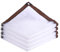 Bâche Transparente Imperméable 4x5m, Extérieur PE Bache avec Oeillet, Bâche Transparente Pergola, pour Serre de Plantes Jardin Meubles de Jardin