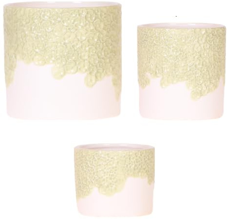 Oasis of Life Juego de 3 maceteros – Ø 6 cm Ø 9 cm Ø 12 cm – Macetas de cerámica verde con relieve estructurado – Macetas decorativas para orquídeas y plantas de interior