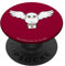 PopSocket : PopGrip Harry Potter Hedwig Delivery PopSockets Ausziehbarer Sockel und Griff für Handys/Tablets mit Tauschbarem Top