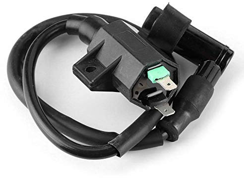 Zündspule Roller Motorrad Zündkerzenstecker kompatibel mit KLF 220/250/400 Bayou KVF 300/360/400 Prairie 21121-1160 21121-1198