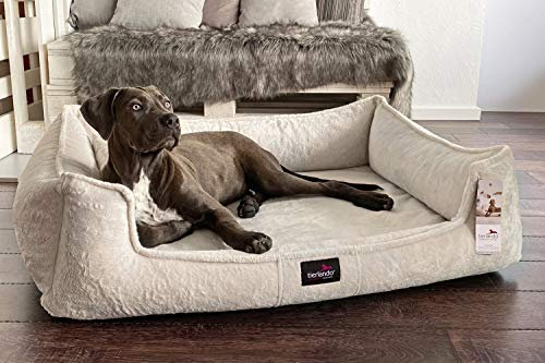 tierlando® Orthopädisches Hundebett Franklin | Hochwertiges Hundesofa | Kuscheliger Teddy-Stoff XXL+ (160x110 cm) | 05 Creme