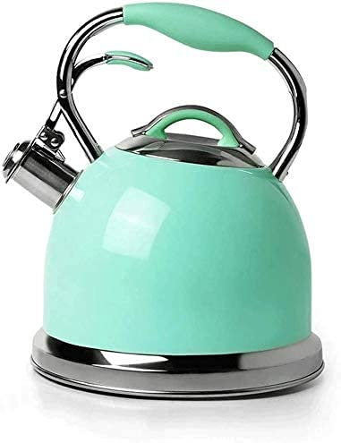 ZHANGDONG wasserkocher klein Kettle wasserkocher Edelstahl wasserkocher Glas Teekocher,Pfeifenkessel aus Edelstahl,Kaffeemaschine mit großem Fassungsvermögen 2.6L.Für Zuhause und Restaurant,Bü