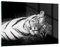 ARTTOR Wandbilder Dekoration Wohnzimmer Weiß Tiger Schwarz und Weiß Bilder auf Glas 120x80cm Glasbild Schlafzimmer Küche Deko Wand Kunstdruck Art Groß XXL Wanddeko Bild im Glas Modern GAA120x80-4247