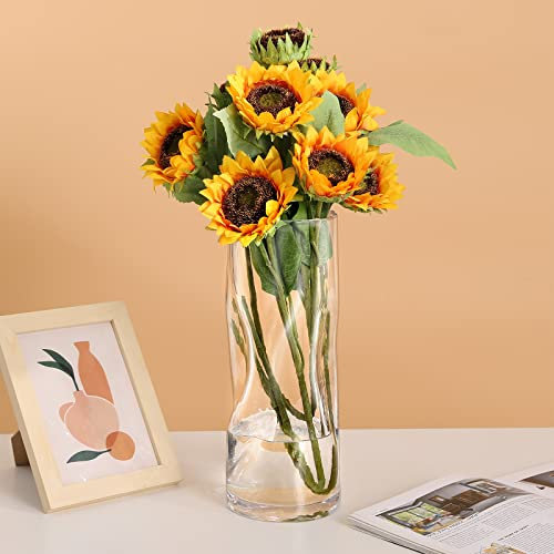Glass Vase 30cm Tall Flower Jug for Green Plant Large Vessel for Large Stemmed Flowers Handmade Jardinière for Home Décor (Crystal Clear)