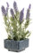 SIDCO Deko Lavendel Topf Kunstpflanze künstliche Blume Pflanze Zimmerpflanze Lavender