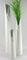 GlasArt Blumenvase Vase Pure White Schlank weiß schlicht edel 30-50cm hoch, Wohnzimmer Fensterbank, Keramik (30x6 cm)