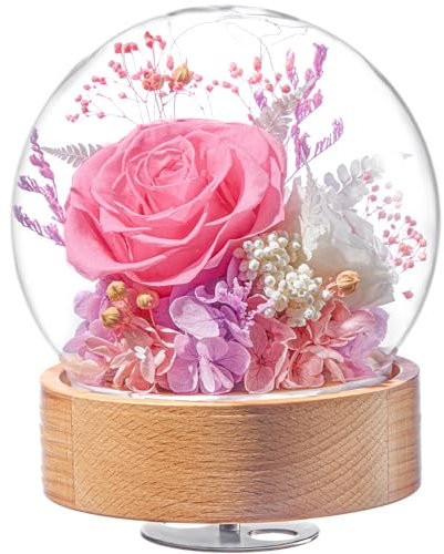Flomoon Spieluhr mit drehbarem Holzsockel, konservierte Rosen, Austin-Rosen, Geschenke für Freundin, Ehefrau, Mutter, Valentinstag, Muttertag, Weihnachten, Geburtstag (rosa Rose, Glaskugel)