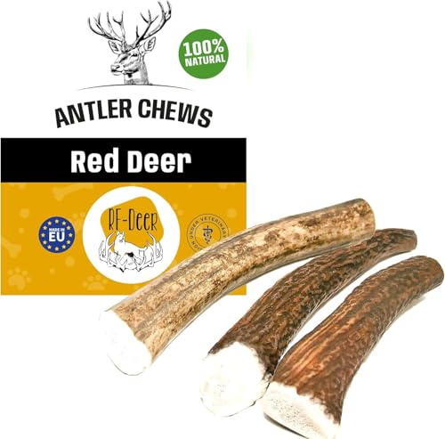 RF - Deer Hundesnack Rothirsch Geweih Kausnack - XXL Hard - 0,5 kg - ca. 19 cm - Hirschgeweih für Hunde, 100% Natürlicher, Kauspielzeug Hund, Hundespielzeug Kauknochen für Genuss und Zahnpflege