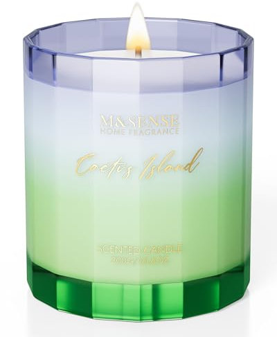 M&SENSE Bougie Parfumées Île de Cactus | 300 g, jusqu’à 60 h de combustion, Son parfum vert et moderne évoque des paysages désertiques, idéal pour un intérieur contemporain et inspirant
