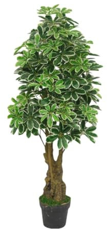 Lacers SMARAGDLINE Pflegeleichte künstliche Schefflera – Strahlenaralie 130cm, realistische Optik, Dekoration für Wohnzimmer, Balkon und Büroräume - pflegeleicht, langanhaltend ohne spezielle Pflege