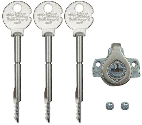 ISEO Einbausicherung 3 Stahlschlüssel für Buntbartschlösser | Schlüssellänge 70 mm | Lochabstand 21 mm Lochdurchmesser 3 mm | Sicherheit Buntbart-Einsteckschlösser | inkl. Befestigungsschrauben