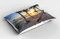ABAKUHAUS Tropisch Kissenbezug, Paradise Beach Palms, Dekorativer Standard King Size Gedruckter Kissenbezug, 80 x 40 cm, Mehrfarbig Grün