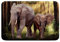 Loussiesd Elefant Badematte 50x80cm Bohemien Elefant Baby Badteppiche 3D Wildtier für Wanne Dusche Kinder Jungen Boho Exotic Indoor Eingang Badvorleger Badezimmerteppich Badezimmer Schlafzimmer Dekor