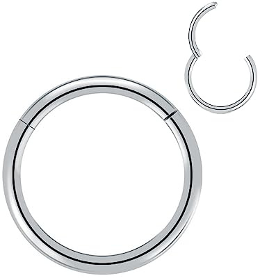 Artskin Grad 23 Titanium Scharnier Nase Ringe Hoops Körper Piercing Ringe Helix Knorpel Rook Ohrringe 20G 18G 16G, Durchmesser 6mm-10mm Schwarz/Silber/Gold/Rose Gold/Pink