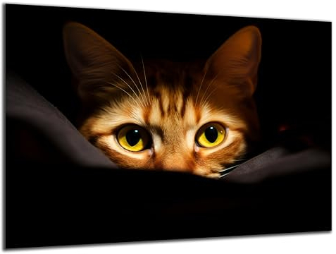 Munera Design - Bild 30x40 - Katzen-Bilder versteckt neugierig - Wand-Bilder Wohnzimmer