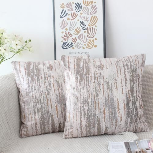 NIULAA Samt Kissenbezug 45x45 2er Set Braun Kissenbezüge Vintage Sofakissen Couchkissen Aesthetic Dekokissen Kissenhülle Deko Kissenhüllen Quadratisch Zierkissen Wohnzimmer Couch