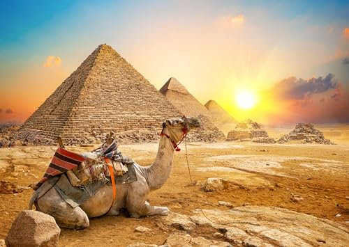 Puzzle für Erwachsene 1000 Teile Pyramiden von Gizeh 70 x 50 cm Puzzles für Erwachsene Pädagogisches Spiel Herausforderung Spielzeug 1000 Teile Puzzles für Erwachsene Kinder