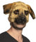 Boland Masque Chien Peluche Adulte - Marron - One-Size