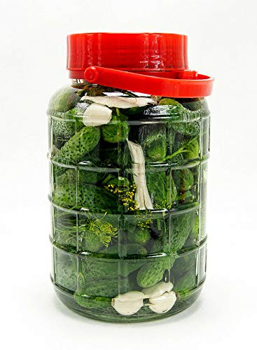 AGROHIT Gurkenglas, Einmachglas, Einmachgläser 8 l aus Glas mit Deckel (8L)