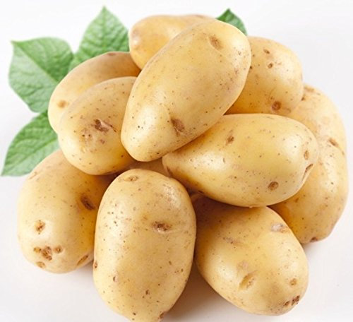 Seeds 120 PC/Imported Skills Anti-wrinkle seeds Green Nutrition Nutrition of Bonsai Vegetables for the Garden Plant House absorbing radiation