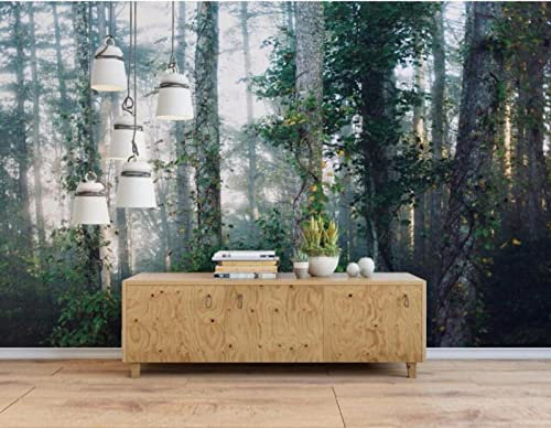 BeNsil Benutzerdefinierte 3D-Tapete, Nebelwald, Hintergrund, Wandgemälde, Fotowand, 430 cm x 300 cm (169,3 x 118,1 Zoll)