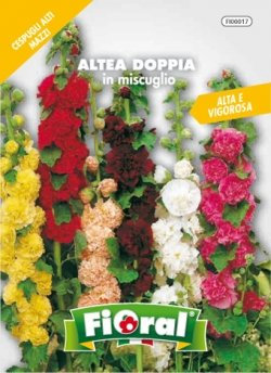 Sementi da fiore di qualità in bustina per uso amatoriale (ALTEA DOPPIA IN MISCUGLIO)