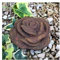 Radami Stein Rose Steinrose Rosenblüte Blüte Blumen Steinguss frostfest wetterfest Garten Deko Rost Metall Optik Handarbeit/aufwendig von Hand bemalt (10cm-Rost-Patina)