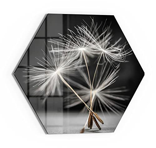 DEQORI Glas-Magnettafel | 55x47,6 cm groß | Motiv Samen der Pusteblume | Memo-Board aus Glas | Magnetboard inkl. Magnete, Stift & Tuch für Küche & Büro | Tafel magnetisch & beschreibbar