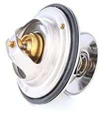 RIDEX 316T0019 Termostato refrigerante con junta 87°C