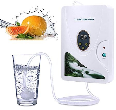 Generatore di ozono Air Purifier Digital Ozono Generatore Disintossicazione Macchine per Frutta Verdura Carne Acqua Dolce Decontaminazione 600mg/h