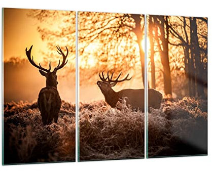 Mehrteilige Bilder auf Glas 165x110cm Glasbild Deer Heidekraut Tier Groß XXL Wanddeko Schlafzimmer Küche Set 3 teilige Wandbilder Dekoration Wohnzimmer Modern Wand Kunstdruck Art GCE165x110-3043