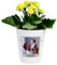 The Gift Experience Personalised Photo Upload Plant Pot, Garden Gifts, Personalised Gift, Quirky Gift