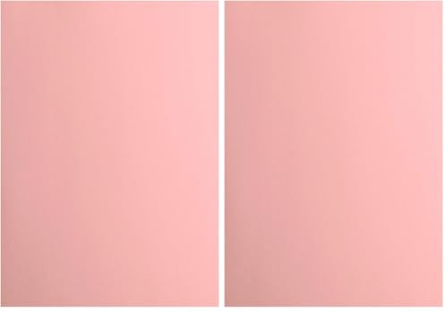 vaessen creative Florence Papier Cartonné, Rose, 216g, 10 Feuilles, Surface Lisse, pour Peindre, Scrapbooking et Plus, DIN A4 (Lot de 2)