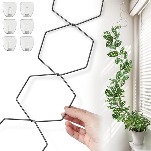 Kettenspalier für Kletterpflanzen - Indoor & Outdoor Zimmerpflanzenzubehör für Monstera, Pothos, Efeu und mehr | Gartenwandspalier und Pflanzenrankenstütze - Zimmerpflanzenzubehör und