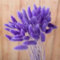 FOSANGPUSHI Getrocknete Blumen,100 Stück 45 cm natürliches Kaninchen-Hasenschwanz-Gras, getrockneter Blumenstrauß, Hochzeitsdekoration, künstliche Blumen, Boho-Heimdekoration, tiefes Lila