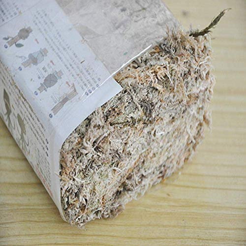 HTYG 6L Sphaigne Hydratante-Tourbe Nutrition Organique Engrais-pour Orchidée Phalaenopsis Plantes Tropicales et Terrariums Jardin Fournitures