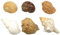 Coquillage naturel,Coquillages de plage, Coquilles de bernard-l'ermite de taille moyenne à grande Coquille de remplacement for bernard-l'ermite Fournitures for bernard-l'ermite Coquille de conque natu
