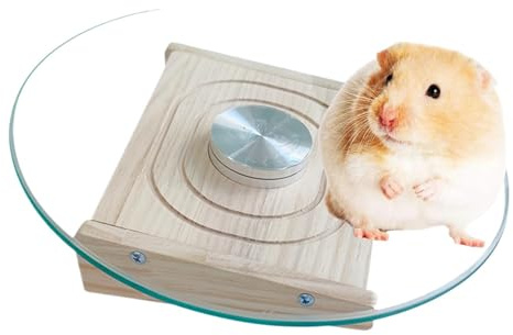 Laufrad für kleine Haustiere, Hamster, Laufrad – Small Animal Health Runner Silent | Spielzeug Häuser & Habitate, Käfigzubehör, Spinner für Chi