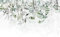 decomonkey - Papier Peint Panoramique Plantes 400x280 cm - Décoration murale moderne – Tapisserie décorative pour chambre salon - Fleurs feuilles nature plantes vert