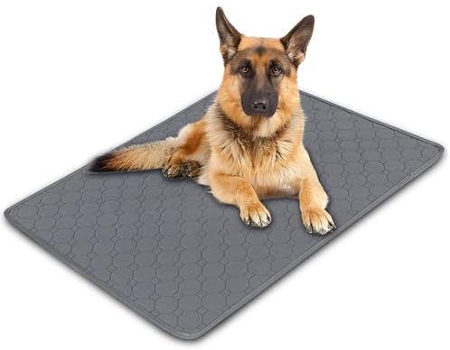 Raxfekro 1 Stück 70x100 cm Wiederverwendbare Welpen Unterlagen, Inkontinenzunterlage Waschbar, Puppy Welpenunterlagen, Schnell Absorbierend Paw Pad für Hunde, Katzen, Meerschweinchen