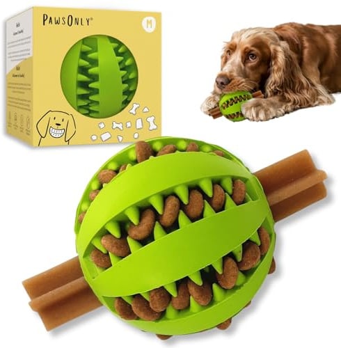 PawsOnly | Futterball für Hunde | Hundespielzeug Intelligenz | Mittel Grün | Denkspiele & Beschäftigung gegen Langeweile | Leckerli Ball aus Naturkautschuk | Befüllbarer Snackball | BPA-frei | Zahnball