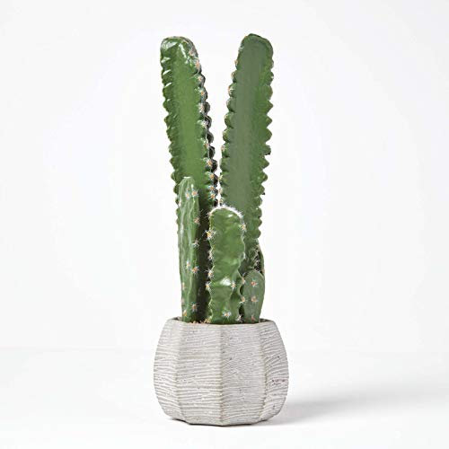 Homescapes Cactus artificiale in vaso di ceramica, grande pianta artificiale succulente – San Pedro cactus alto circa 50 cm, ottima decorazione per tavolino, scrivania o davanzale