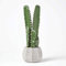 Homescapes Cactus artificiale in vaso di ceramica, grande pianta artificiale succulente – San Pedro cactus alto circa 50 cm, ottima decorazione per tavolino, scrivania o davanzale