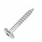 SCREW REBEL Fassadenschrauben 4,8x32 TX20 - naturblank - 100 Stück Edelstahl A2 Trespo