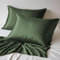 LINENWALAS Lot de 2 taies d'oreiller 100 % bambou bio très grand lit avec fermeture à rabat, taies d'oreiller douces en soie de bambou de qualité supérieure pour cheveux et peau (50 x 90 cm, vert