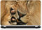 Aufkleber für Laptop, PC, Löwe, Ref. 742 – PC 8,9 Zoll H 17 x B 25 cm