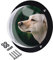 TAYSTE Dog Window for Fence,Acrylic Dome Bubble Window - Easy to Install Round Pet Window Bubble for Children & Pets, Dog Kennel