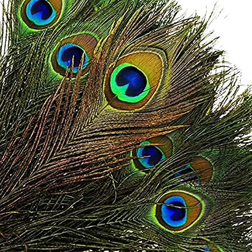 50 Stück natürliche Pfauenfedern mit Pfauenschwanzfedern für die Augen, 40 – 50 cm, zum Basteln, Dekoration für Hochzeitsfeiern