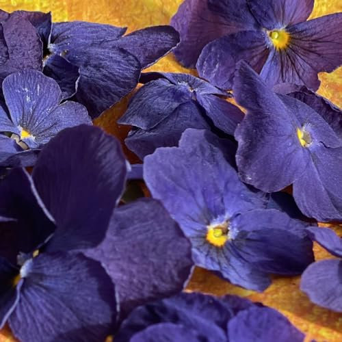 Edible Freeze Dried Purple Viola Flowers - 20 Heads - Food Grade (526)